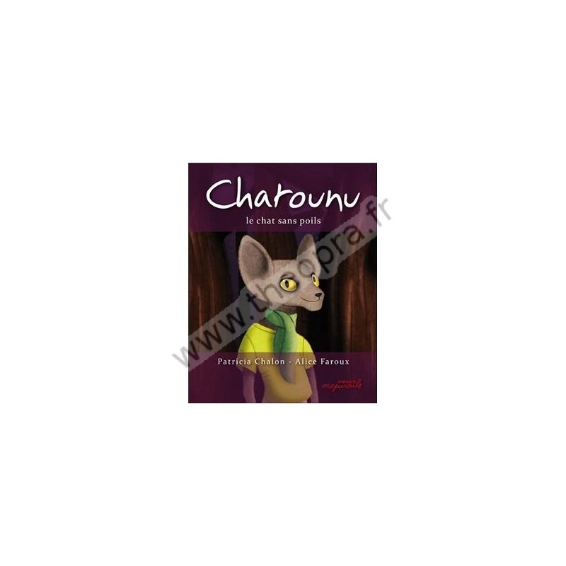 Chatounu Le Chat Sans Poils